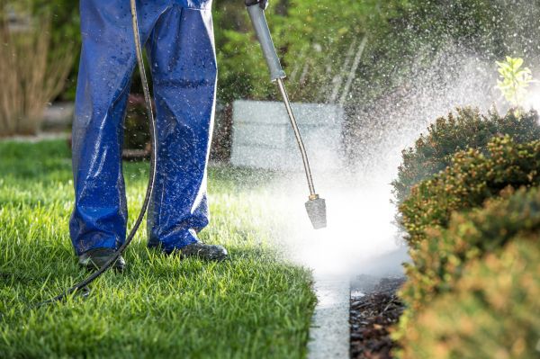Curb Cleaning in Thousand Oaks