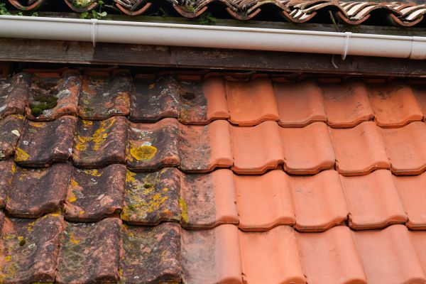 Industrial Roof Cleaning in Thousand Oaks
