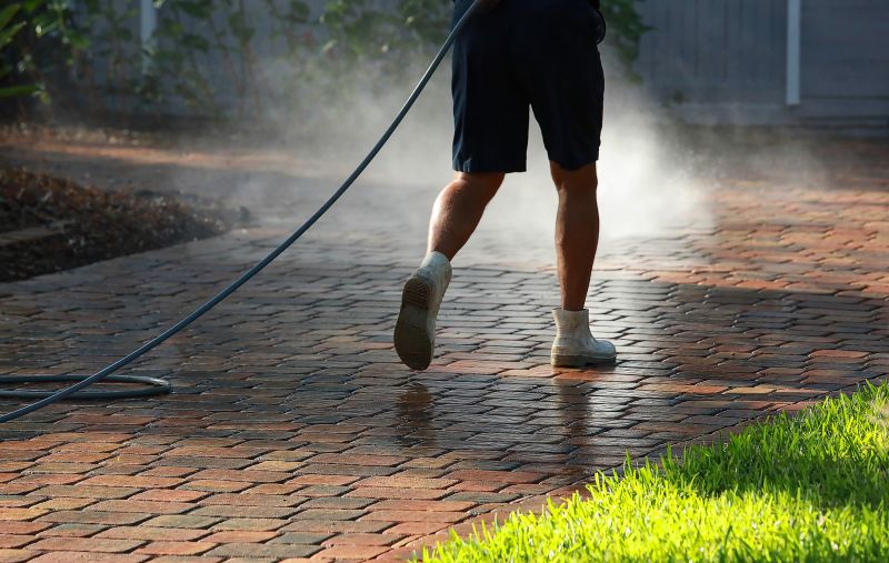 Paver Walkway Cleaning